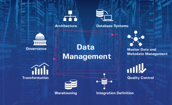 مدیریت داده ها (data management) چیست؟